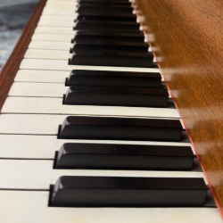 The Pianist Icon
